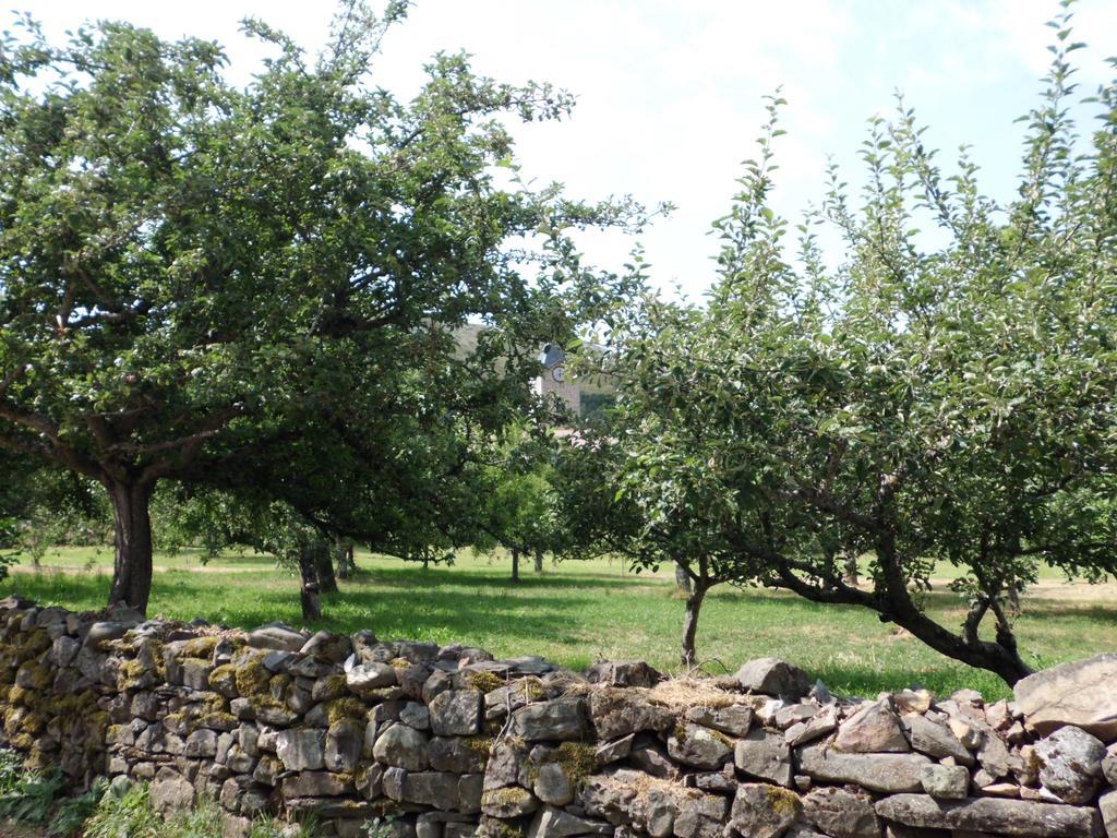 Casa Rural La Altanera Barniedo de la Reina Kültér fotó